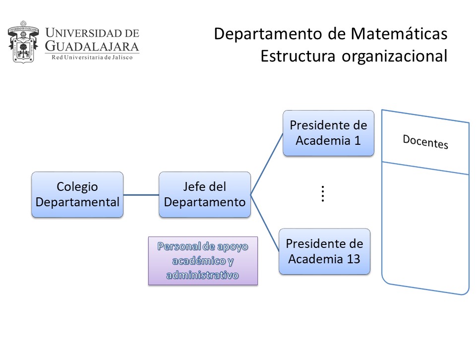 estructura_organizacional